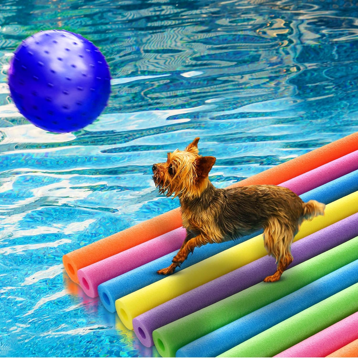 Lot de 18 flotteurs de piscine - Foam Pool Noodle avis et prix